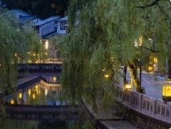 黄金のICOCA: ポイント利用商品トップ│DISCOVER WEST mall 【JR西日本