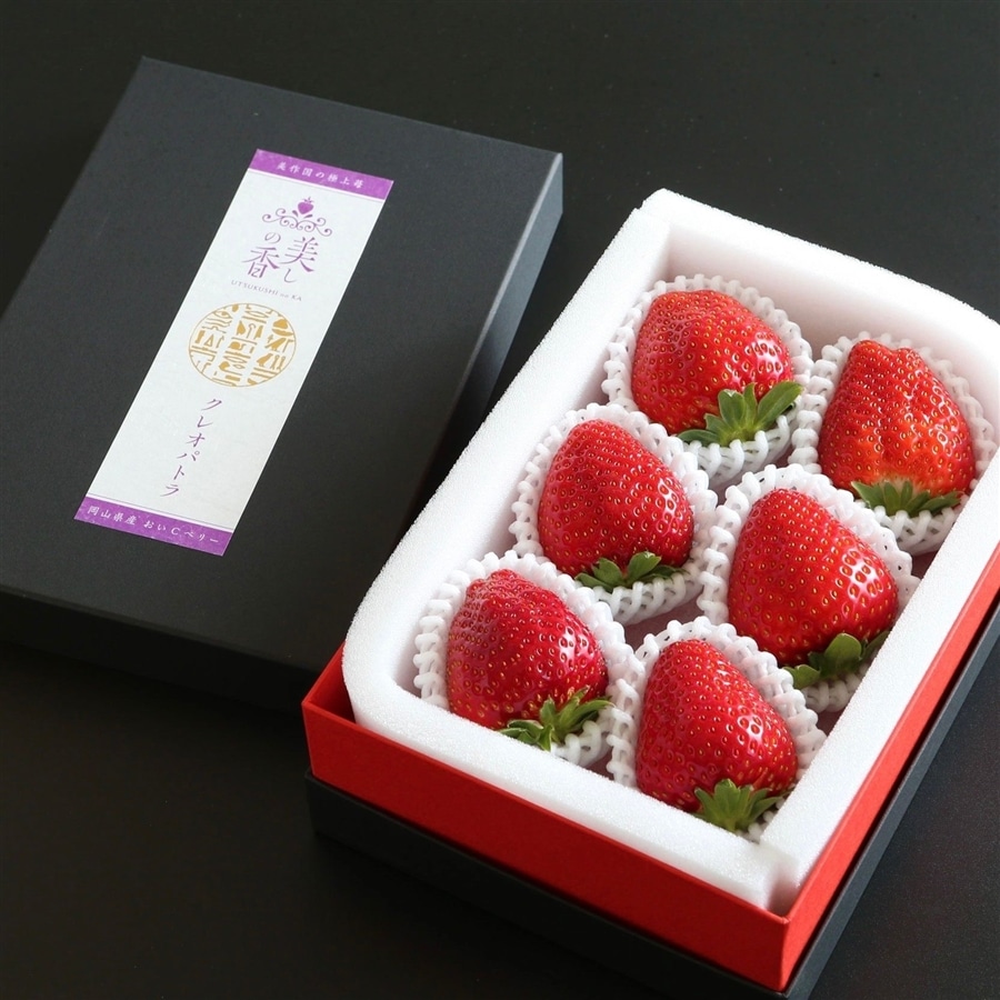 第2回全国いちご選手権銀賞受賞！】岡山県産プレミアム苺 〔美しの香