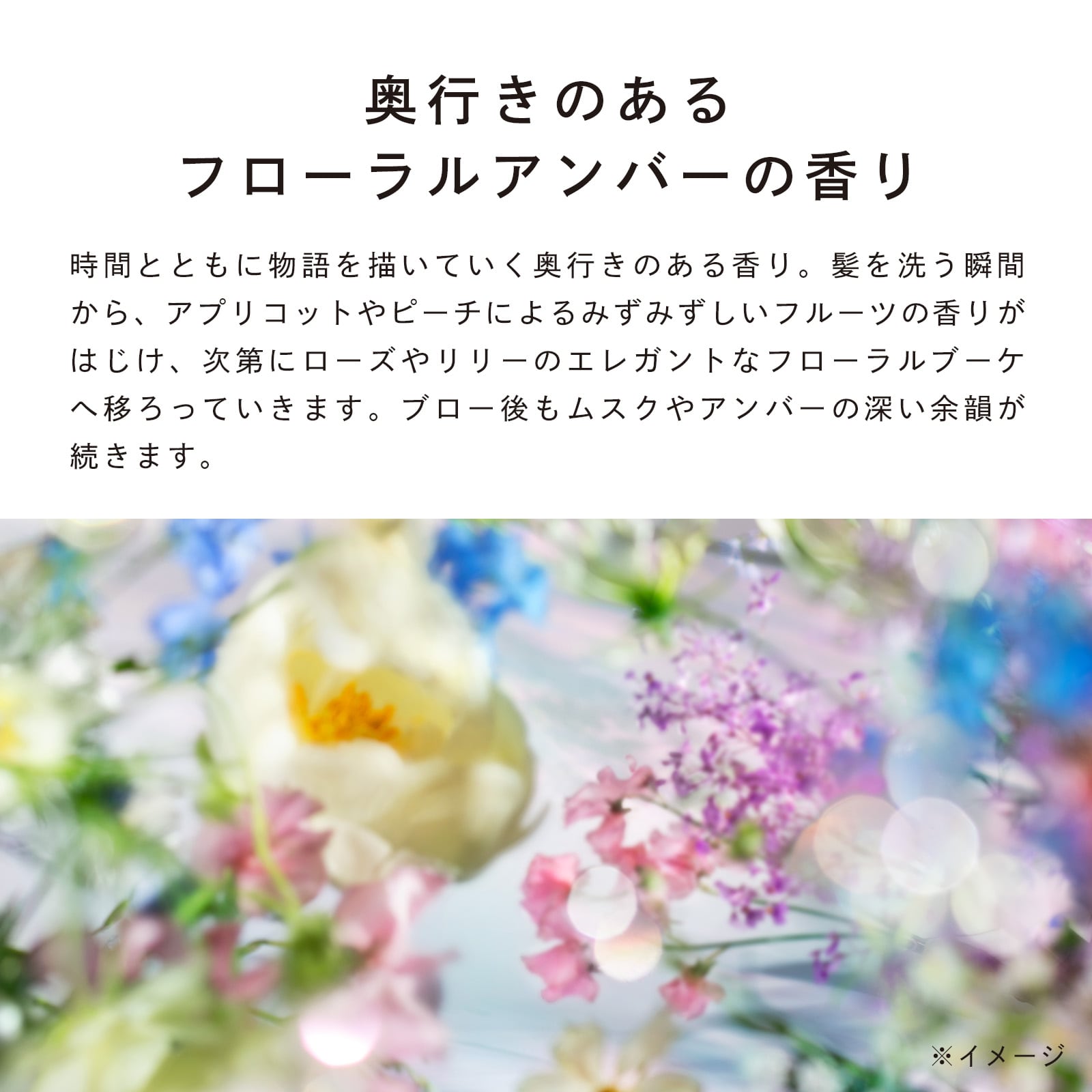 リファビューテックシャンプー 詰め替え 1000mL(1000mL): MTG