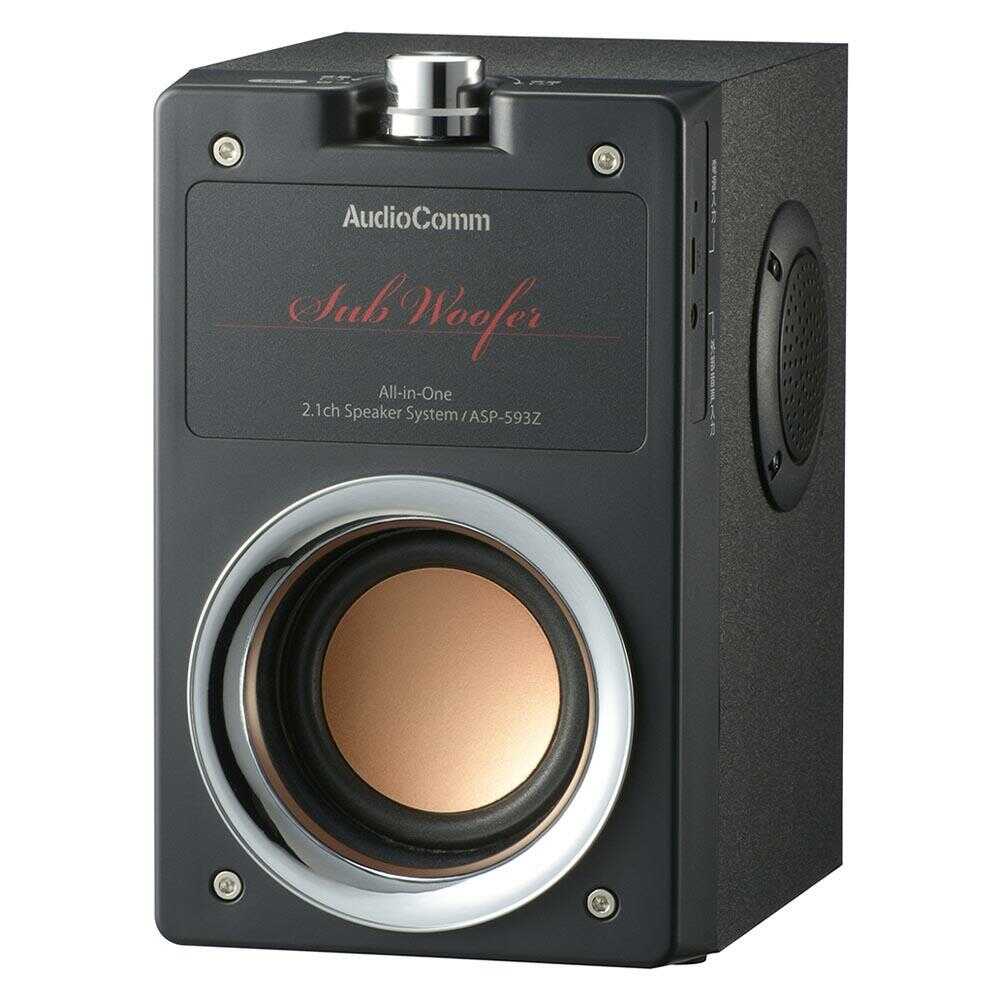 オーム電機 一体型2.1chスピーカーシステム 1台(ブラック): サン