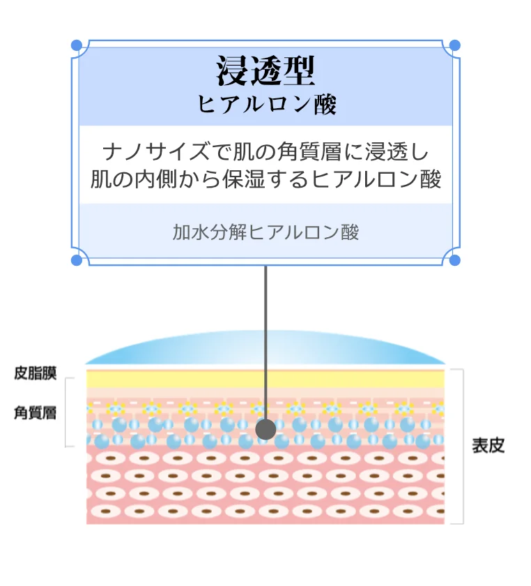 Koo プレミアム シュール | イーズストアエステサロン生まれのシンプル