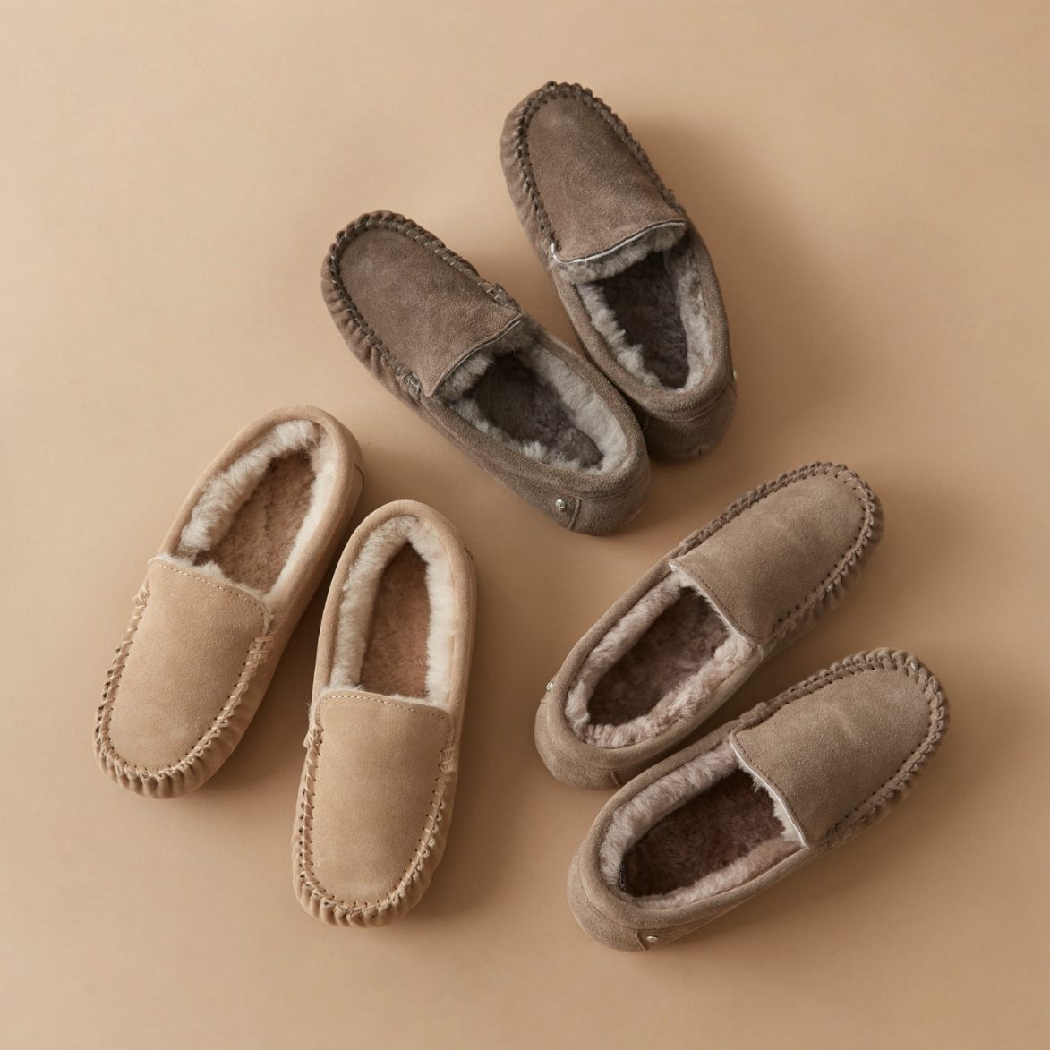 Cairns – EMU Australia