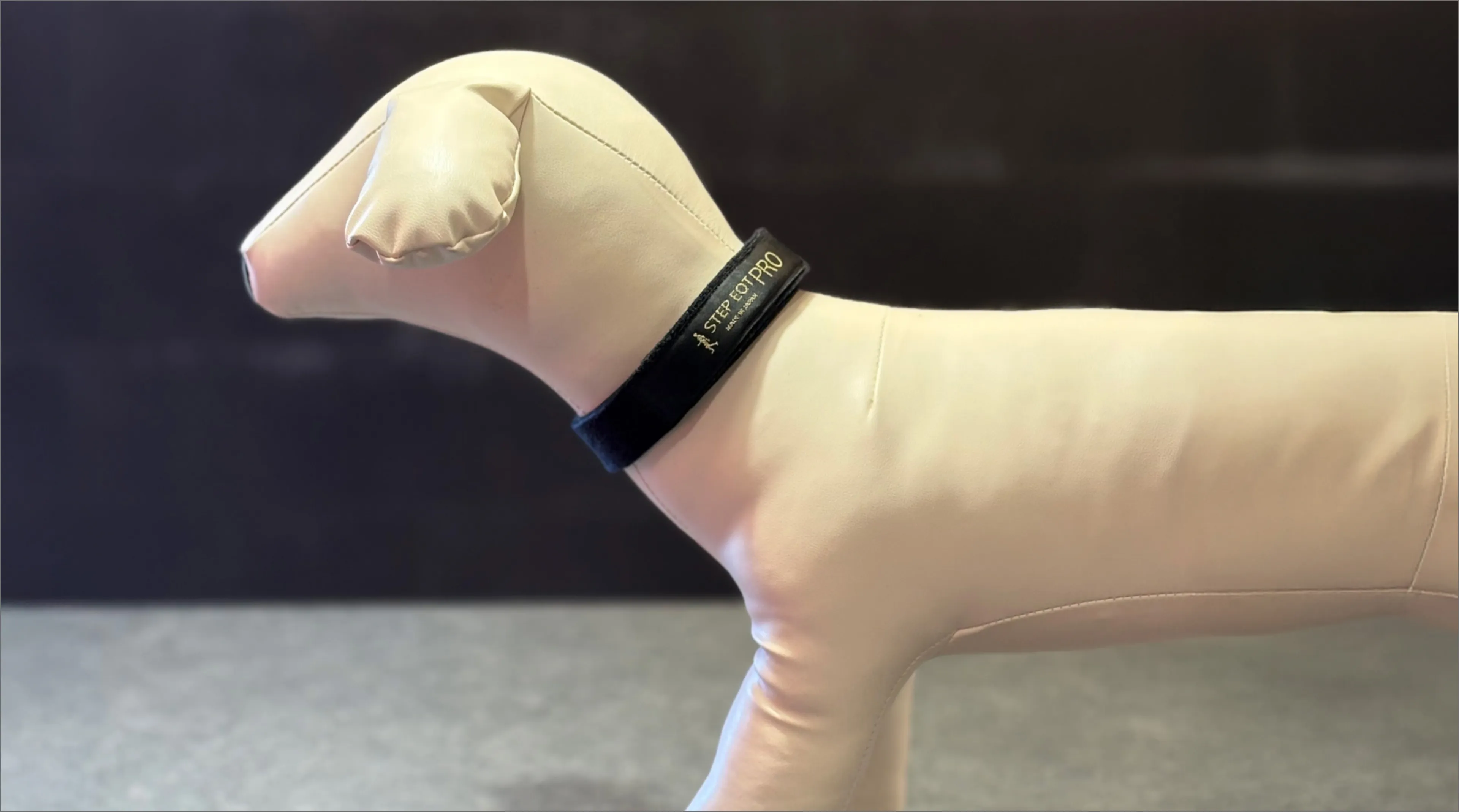 公式】歩けるくん|商品一覧