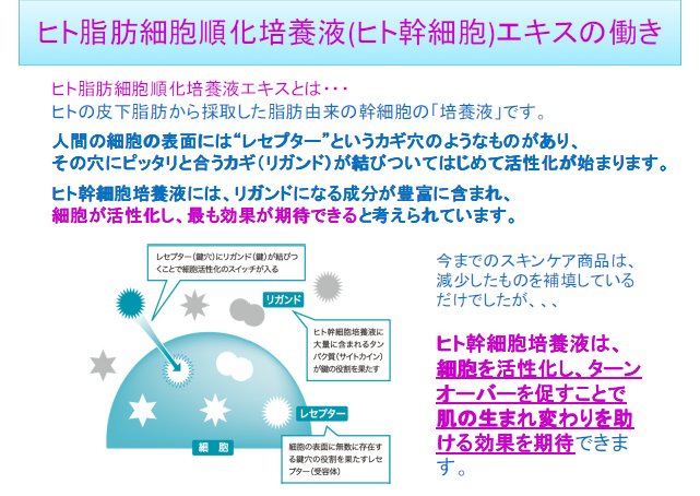 EXAモール エキスパートアライアンス株式会社