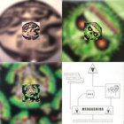 Smoke Motherfuckers EP | Hardcore Brothers | The Third Movement