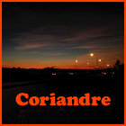 Scoprire le orme | Roberto Mazza | soave