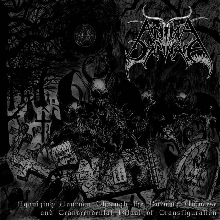 Agonizing Journey Through The Burning Universe and Transcendental