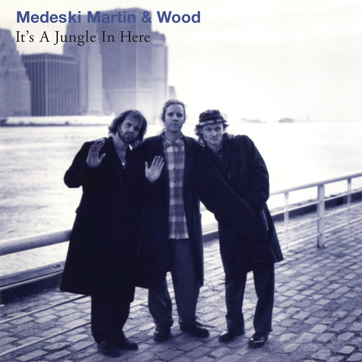 It's a Jungle in Here | Medeski, Martin & Wood | Real Gone Music