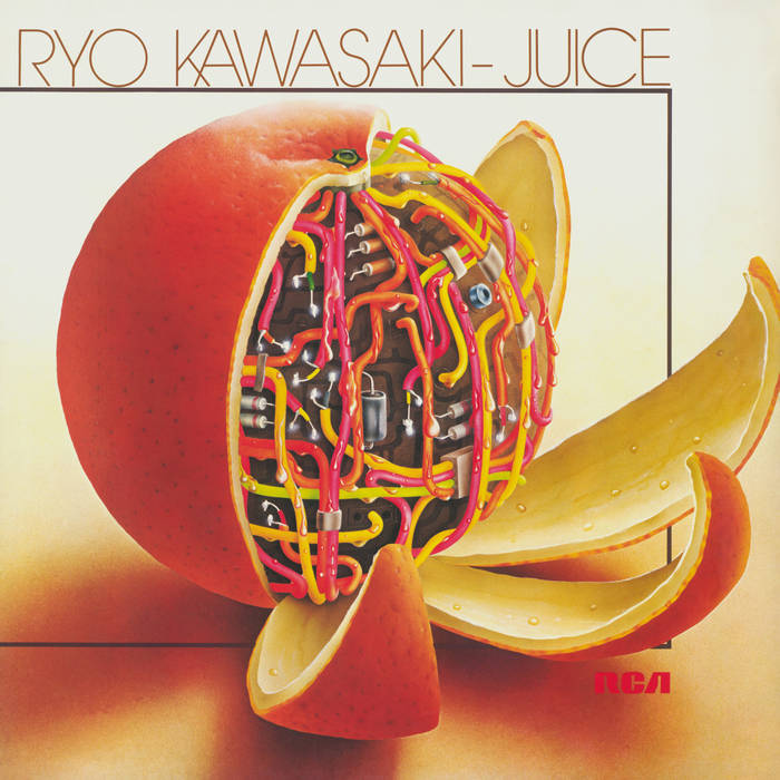Juice | Ryo Kawasaki | MR BONGO