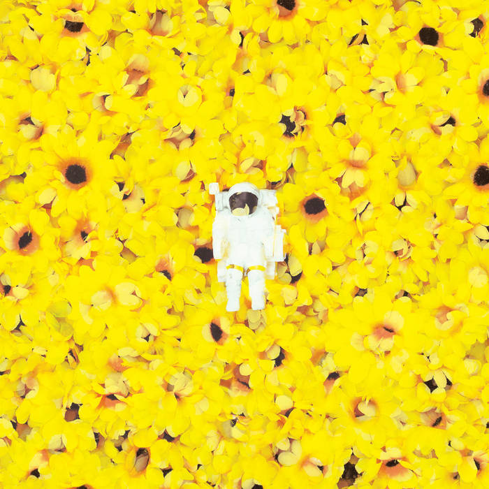 Sunflower | Cosmopaark