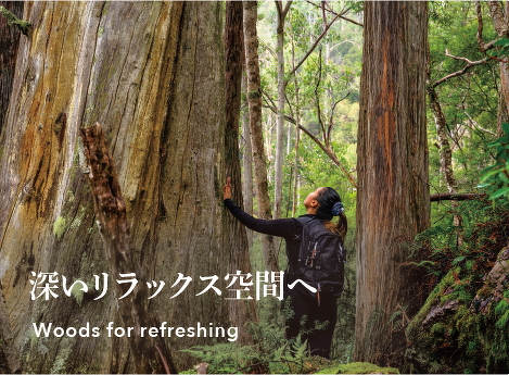 アロマディフューザーAL-004専用ブレンドオイル ウッズ | アロマライフ