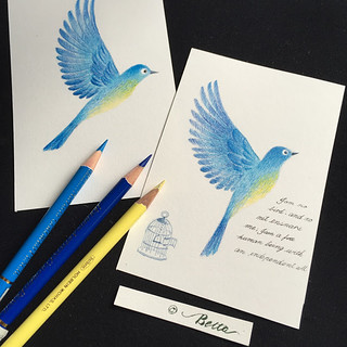 BeltaのColored Pencil Gallery 色鉛筆ギャラリー » 【色鉛筆画】 青い鳥