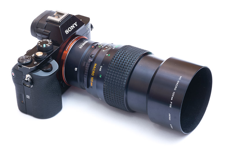Minolta MC 100mm f/3.5 Macro - phillipreeve.net