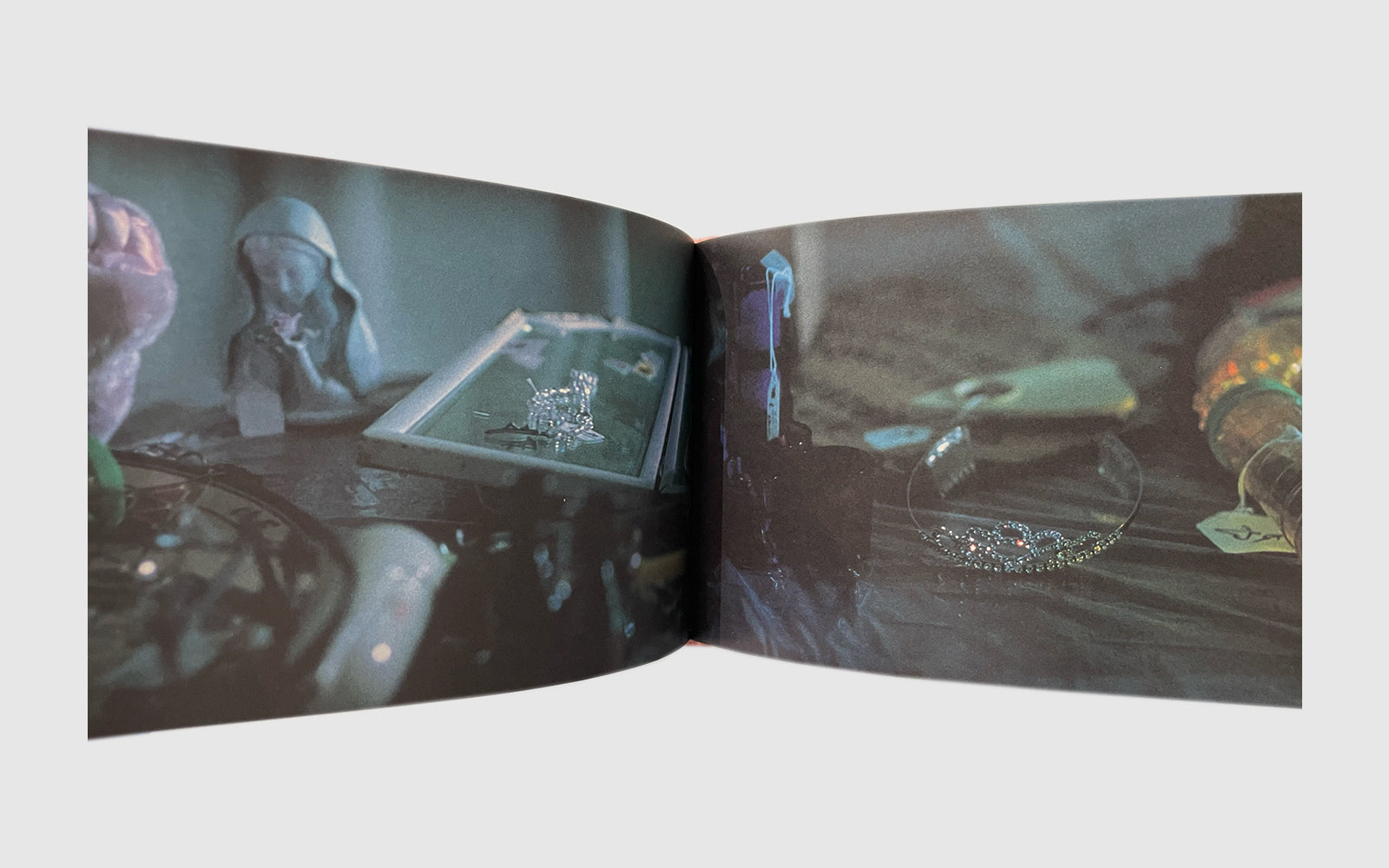 FAW [The Virgin Suicides, Sofia Coppola - FAW Books]