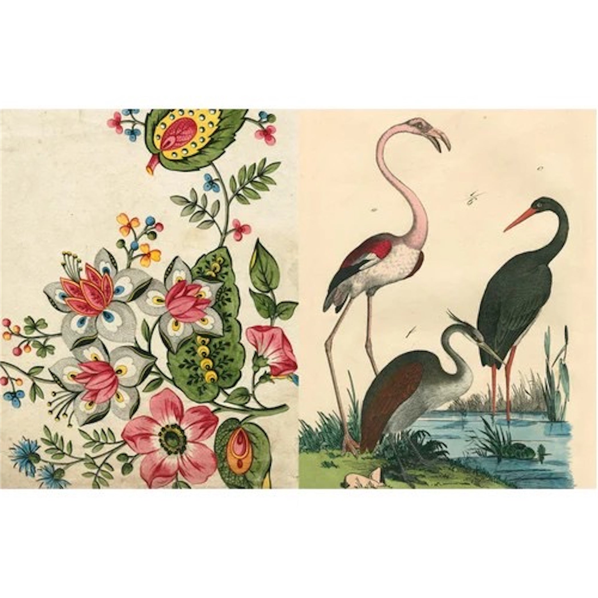 JOHN DERIAN】ピクチャーブック Picture Book II / signed | フィール