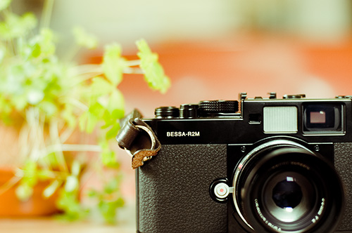 フォクトレンダー ベッサ R2M 250周年記念モデル （Voigtländer BESSA