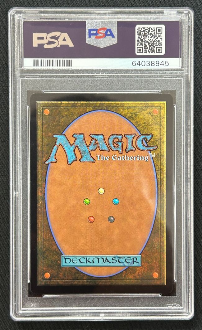 Foil】(259)《ウルザの物語/Urza's Saga》[MH2] 土地R | 日本最大級