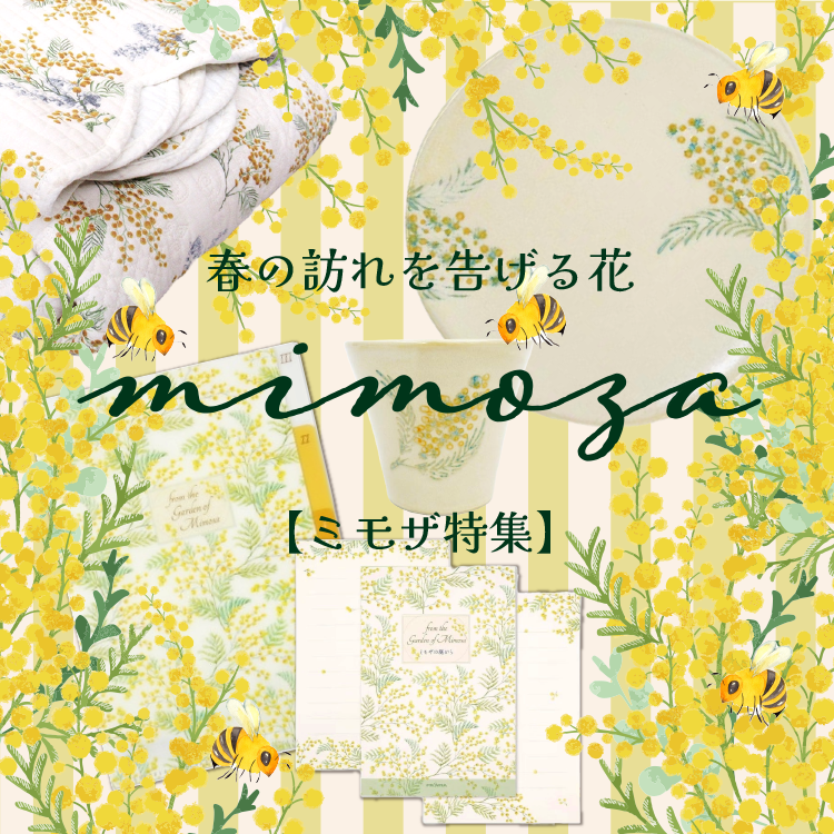 ミモザ | TANBAYAお仕入れ.NET | 丹波屋【公式】会員制の卸・問屋