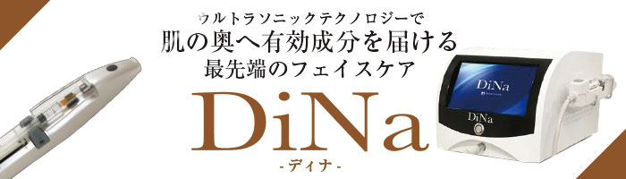ディナ | 業務用美容・エステ機器の卸・仕入通販は【ミヤタッチ】