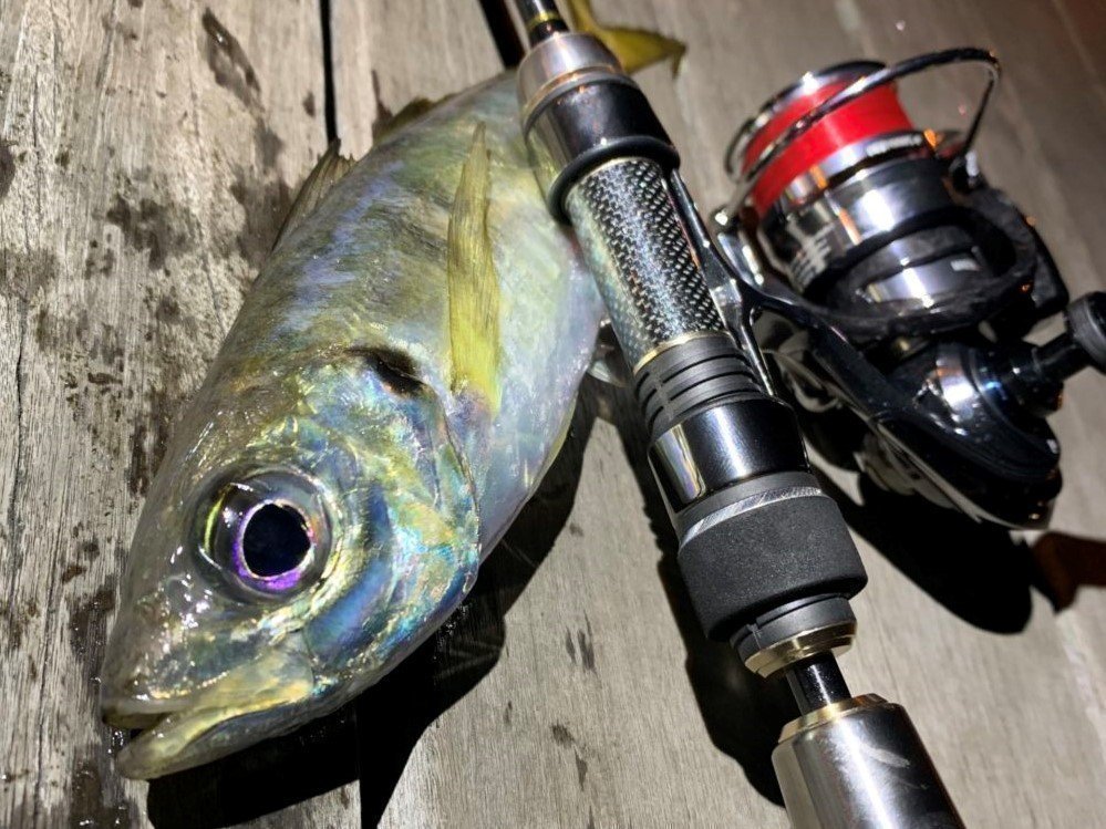 テイルウォークの最高峰アジングロッド「スーパーアジストTZ」に新機種