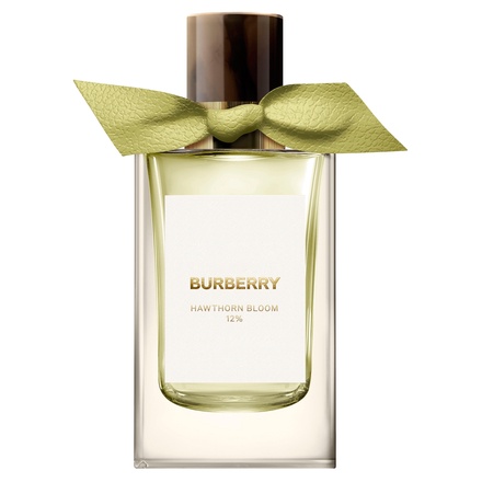 Burberry Beauty / バーバリー シグネチャー コレクション HAWTHORN