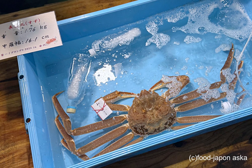 カニ漁解禁 2025】初競で最高級ブランド「輝」がついに出た！その価格