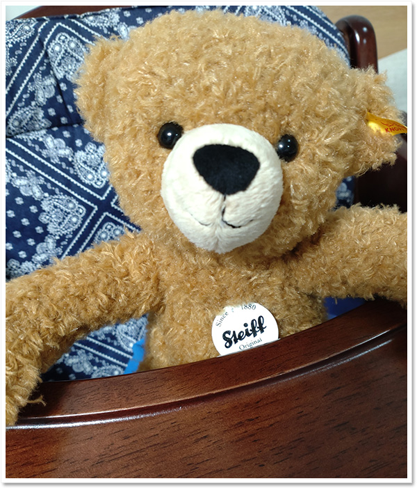 シュタイフアメジスト テディベア 25cm EAN035159