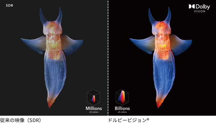 3340シリーズ｜テレビ｜FUNAI製品情報