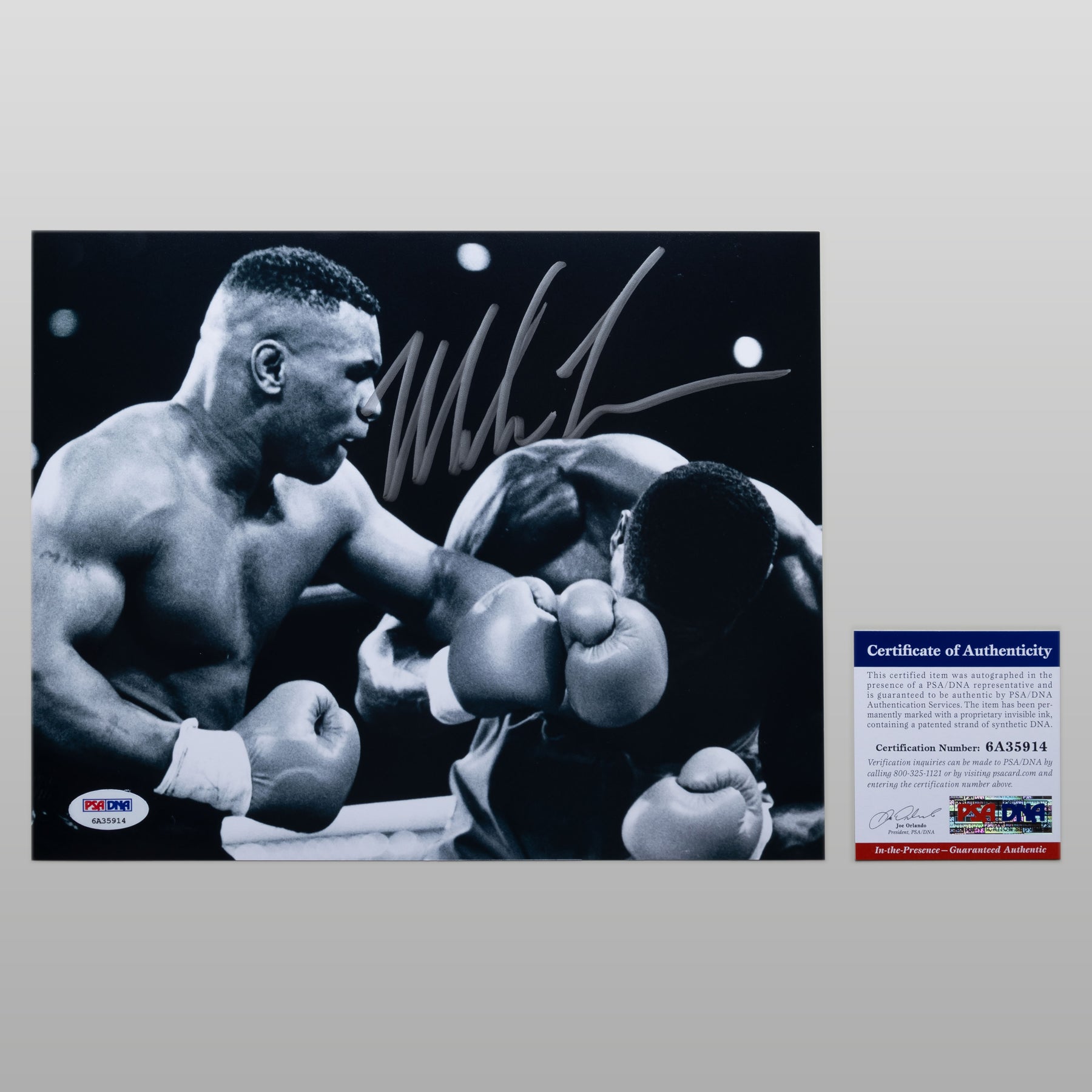 マイク・タイソン - ファンコレクションズ