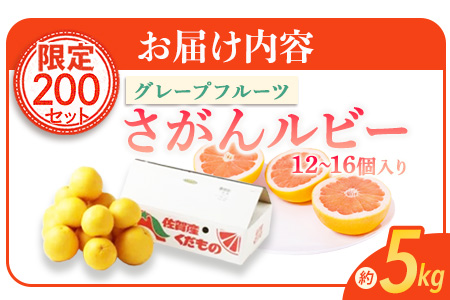 数量限定【先行予約】日本初！幻の国産グレープフルーツ！【さがん