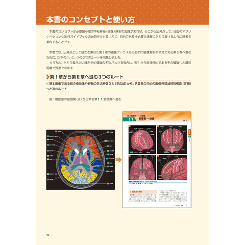 脳神経画像解剖ナビゲーション|岡本 浩一郎(編・著)|ショップ学研＋