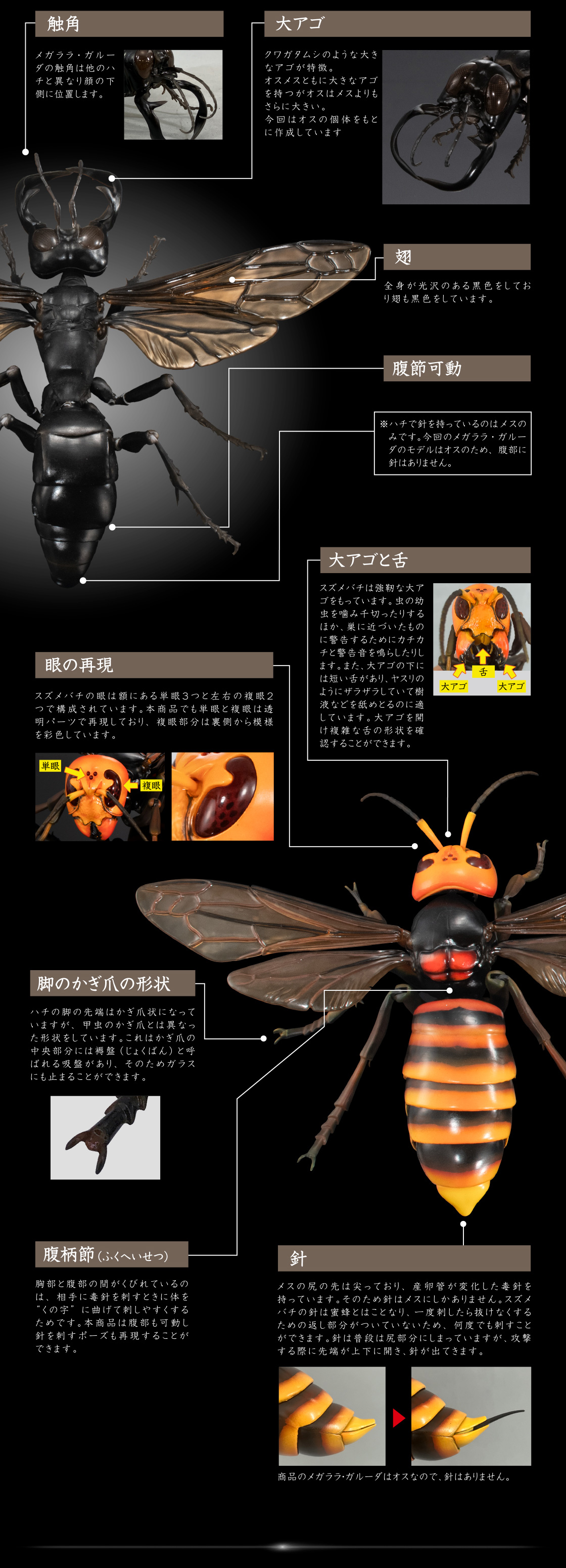 いきもの大図鑑アドバンス スズメバチ｜いきもの大図鑑｜ガシャポン