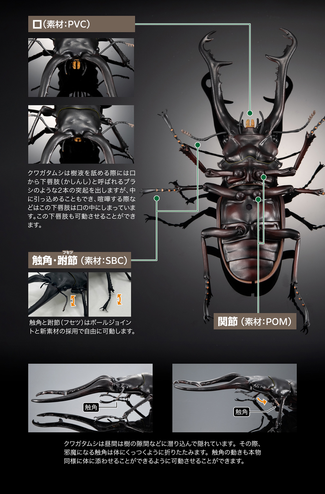 いきもの大図鑑プレミアム ギラファノコギリクワガタ｜いきもの大図鑑