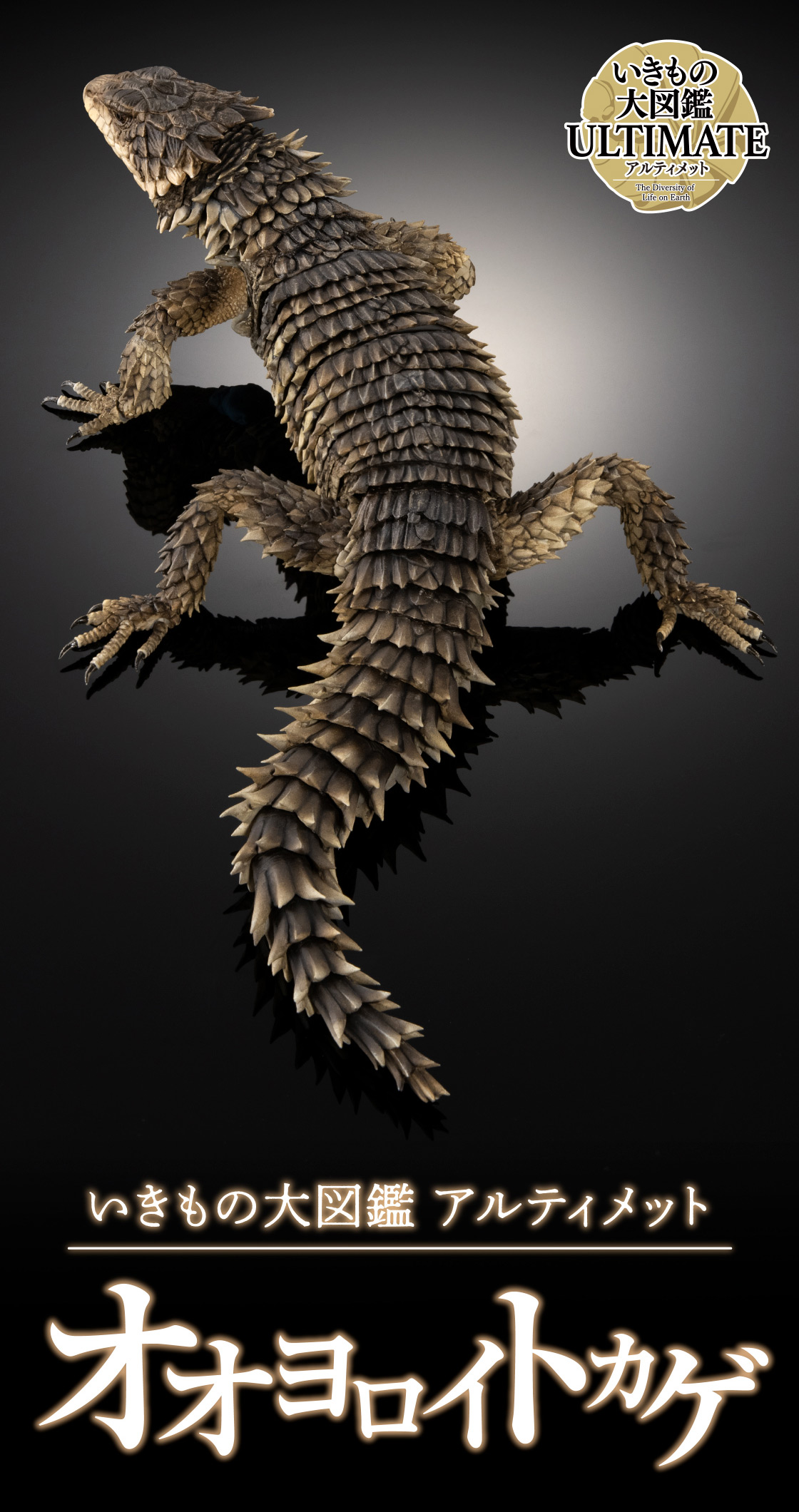 いきもの大図鑑アルティメット オオヨロイトカゲ｜いきもの大図鑑
