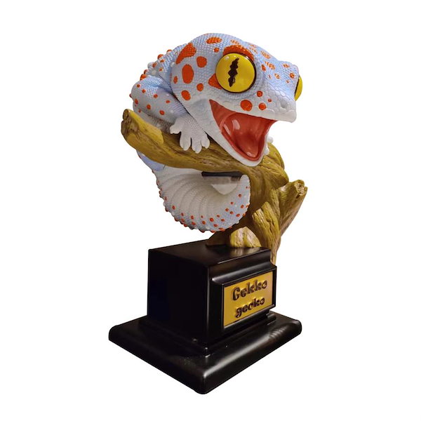 Qoo10] 博物志 ヤモリ 限定版 PLUS 30C