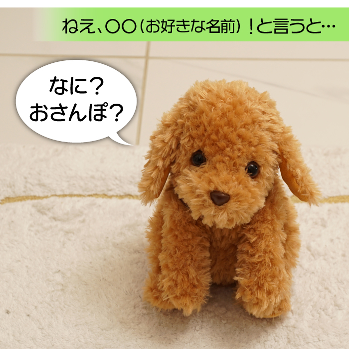 おしゃべりトイプードル│身近な優れものショップ
