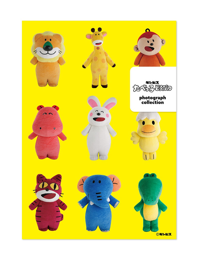 LAND】写真集／ZINE– ギンビス・マーケット