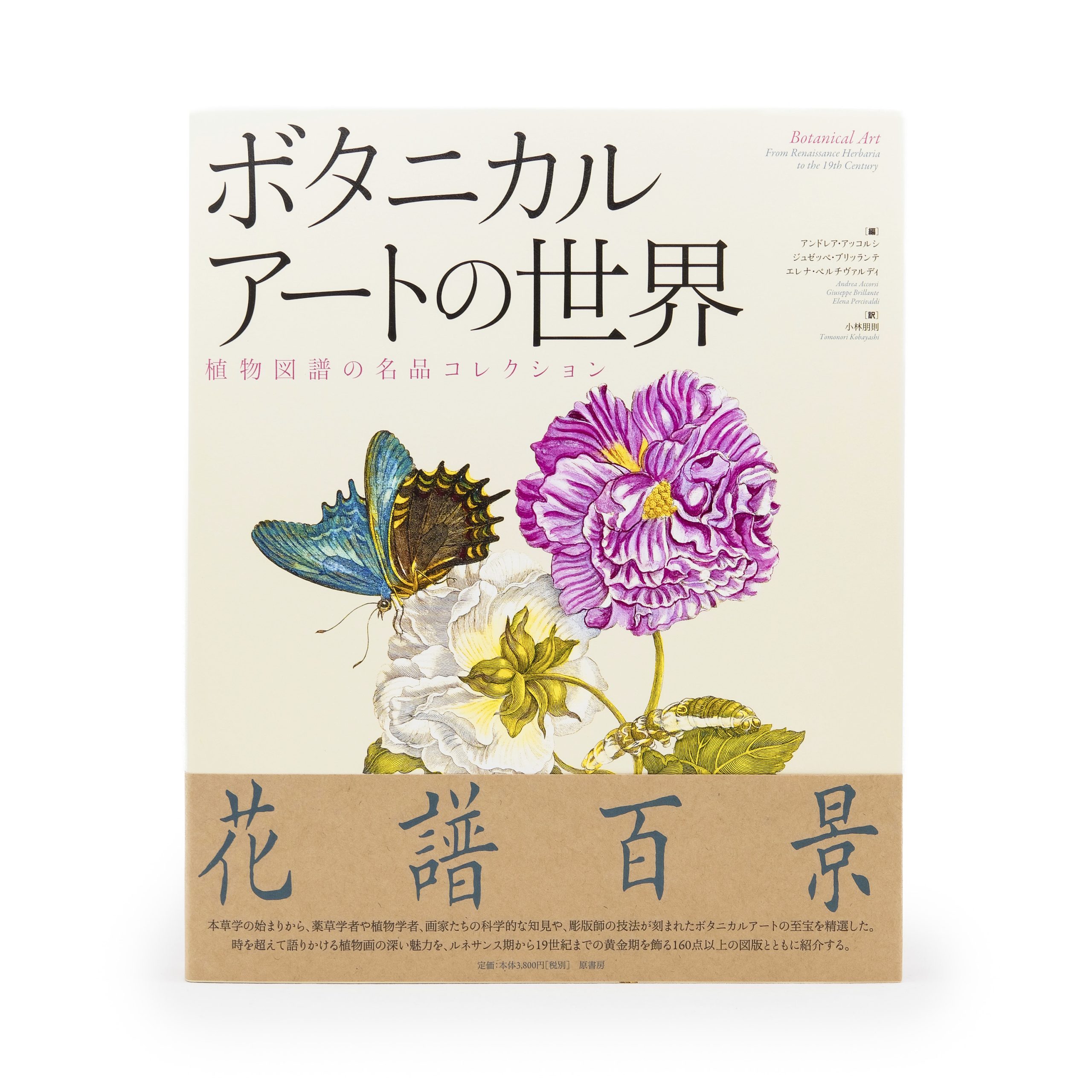 ボタニカルアートの世界 植物図譜の名品コレクション | Gibbon