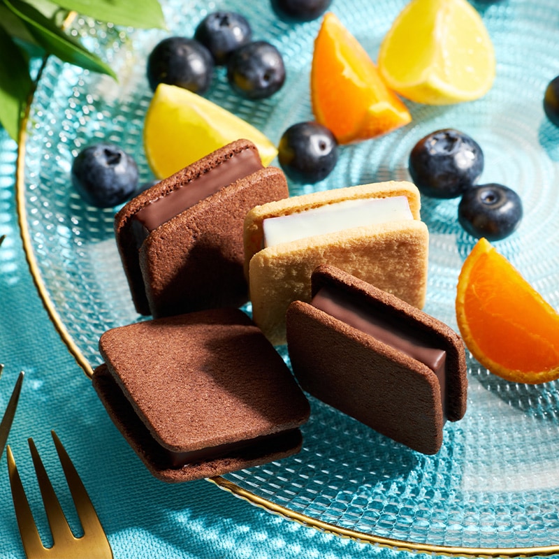 ショーコラ サマーギフト4個入 VANILLABEANS公式オンラインショップ