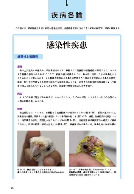 エキゾチック 臨床シリーズ│獣医学書籍・雑誌・本の出版社 学窓社