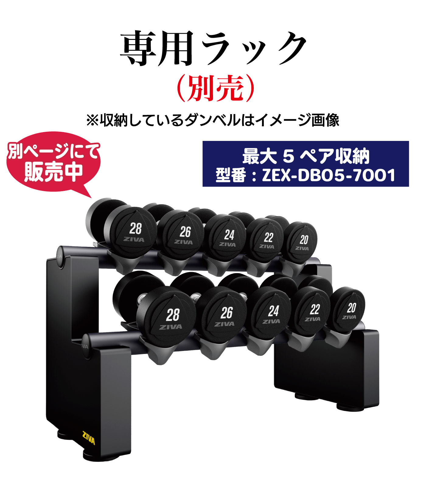 XP 42kg-50kg ウレタン ダンベル｜業務用ダンベル【ダンベル 鉄アレイ
