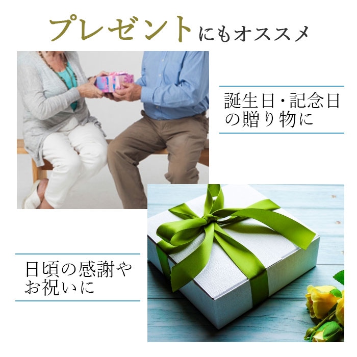 ショルダーバッグ KBN16414 平野鞄