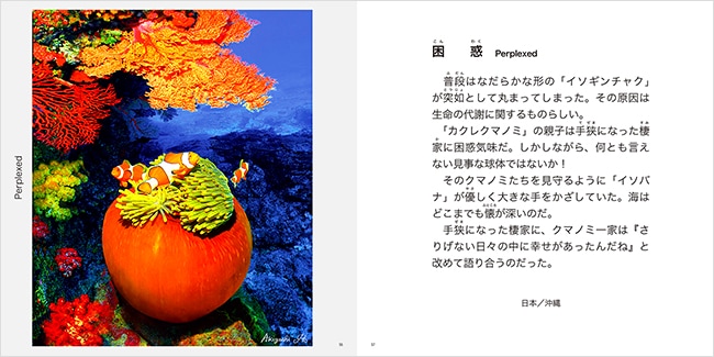 奇跡の海物語 伊東昭義｜求龍堂