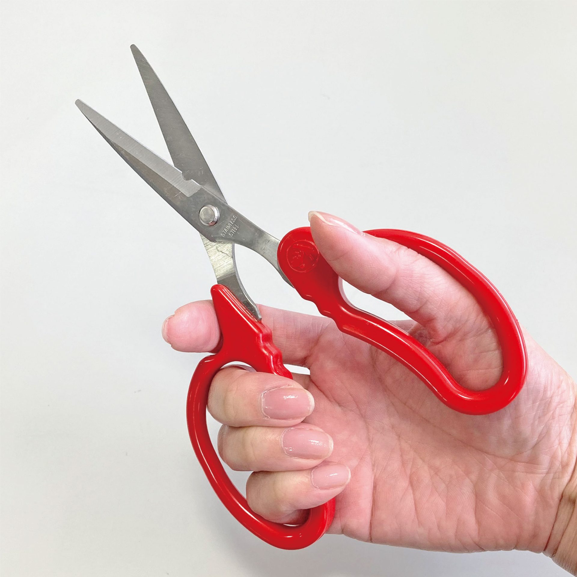 2312 - キンボシ株式会社