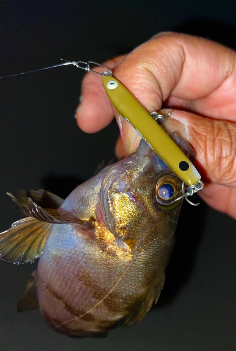 メバルプラッギング：Go-Phish L2 !! | Go-Phish