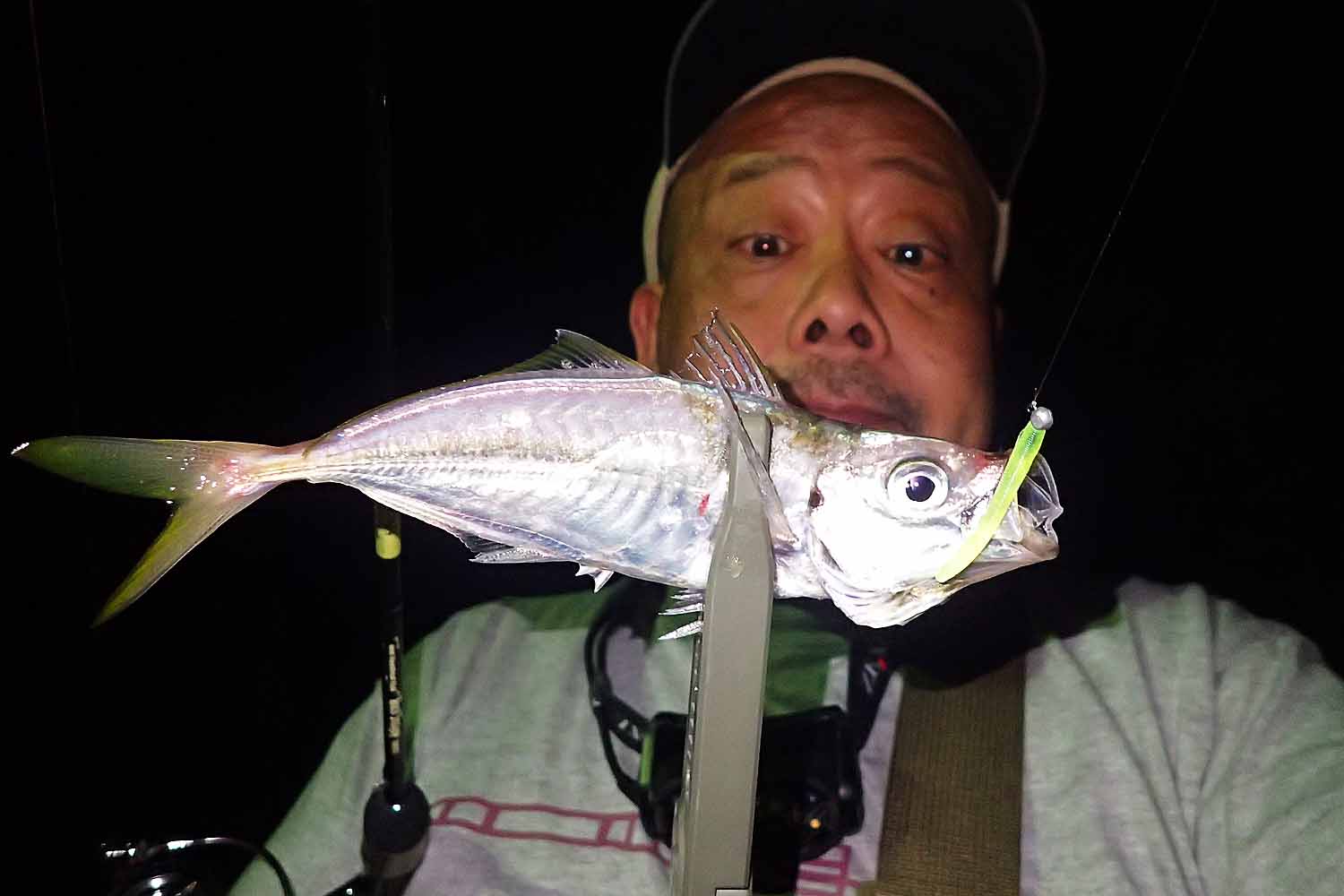 ul6 Rocksteady torzite（ul6 ロックステディー トルザイト） | Go-Phish