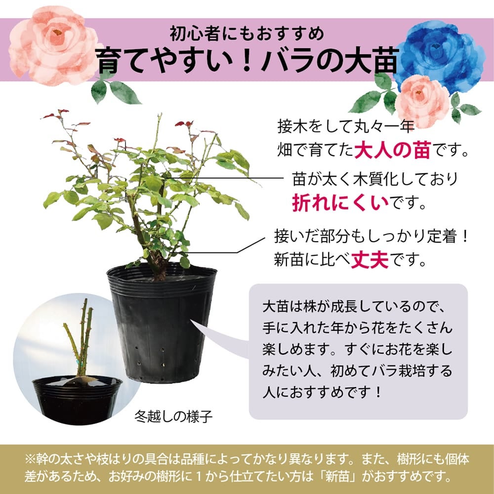 000000000695-05.jpg?size=l&w=