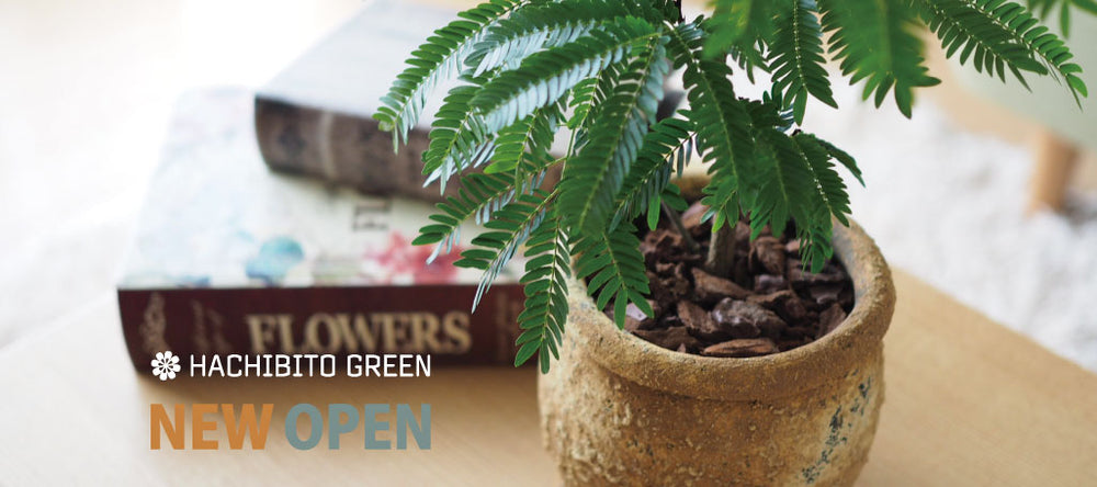 おしゃれな植木鉢をお探しなら！ ガーデニングの専門店 - 鉢人