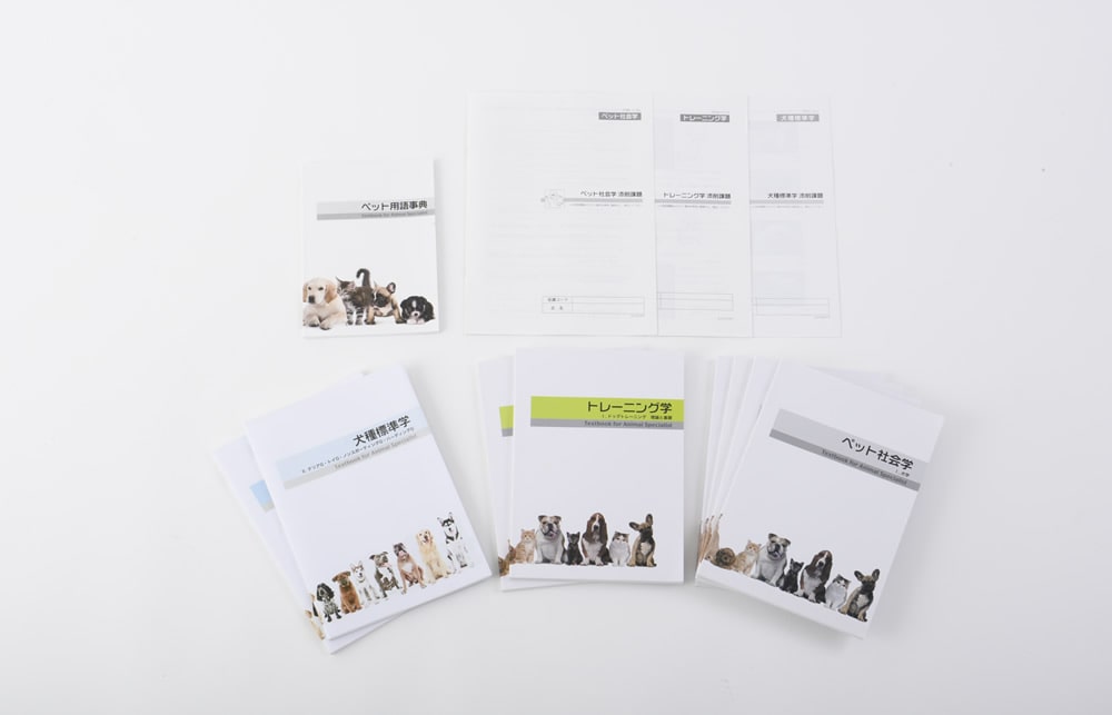 ドッグトレーナー講座|通信教育講座で資格なら「ヒューマンアカデミー