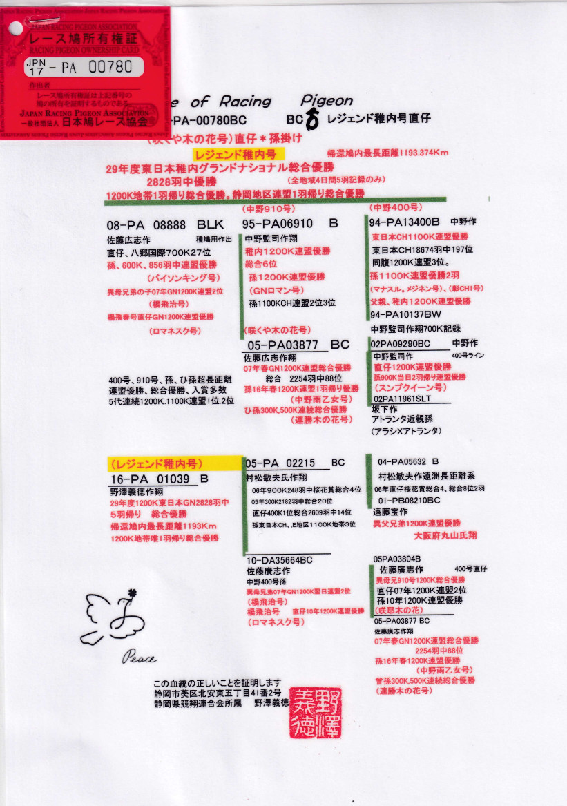 レース鳩モールオークション - 出品鳩「17PA00780 BC